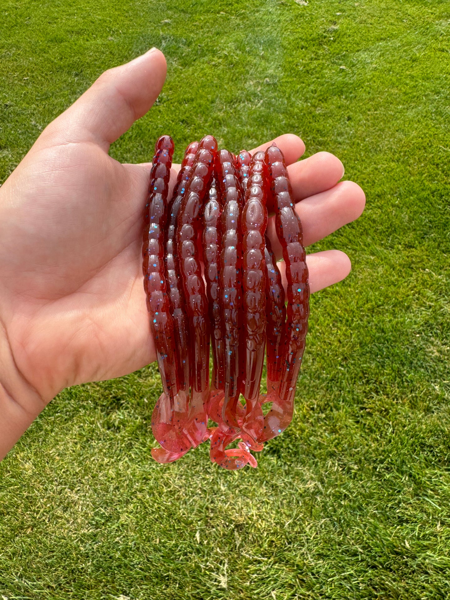 Ribbon Worms (12 pack)