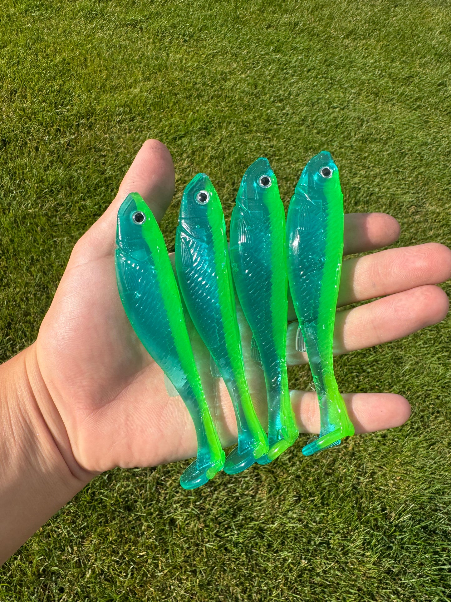 G5 Swimmers (5 pack)