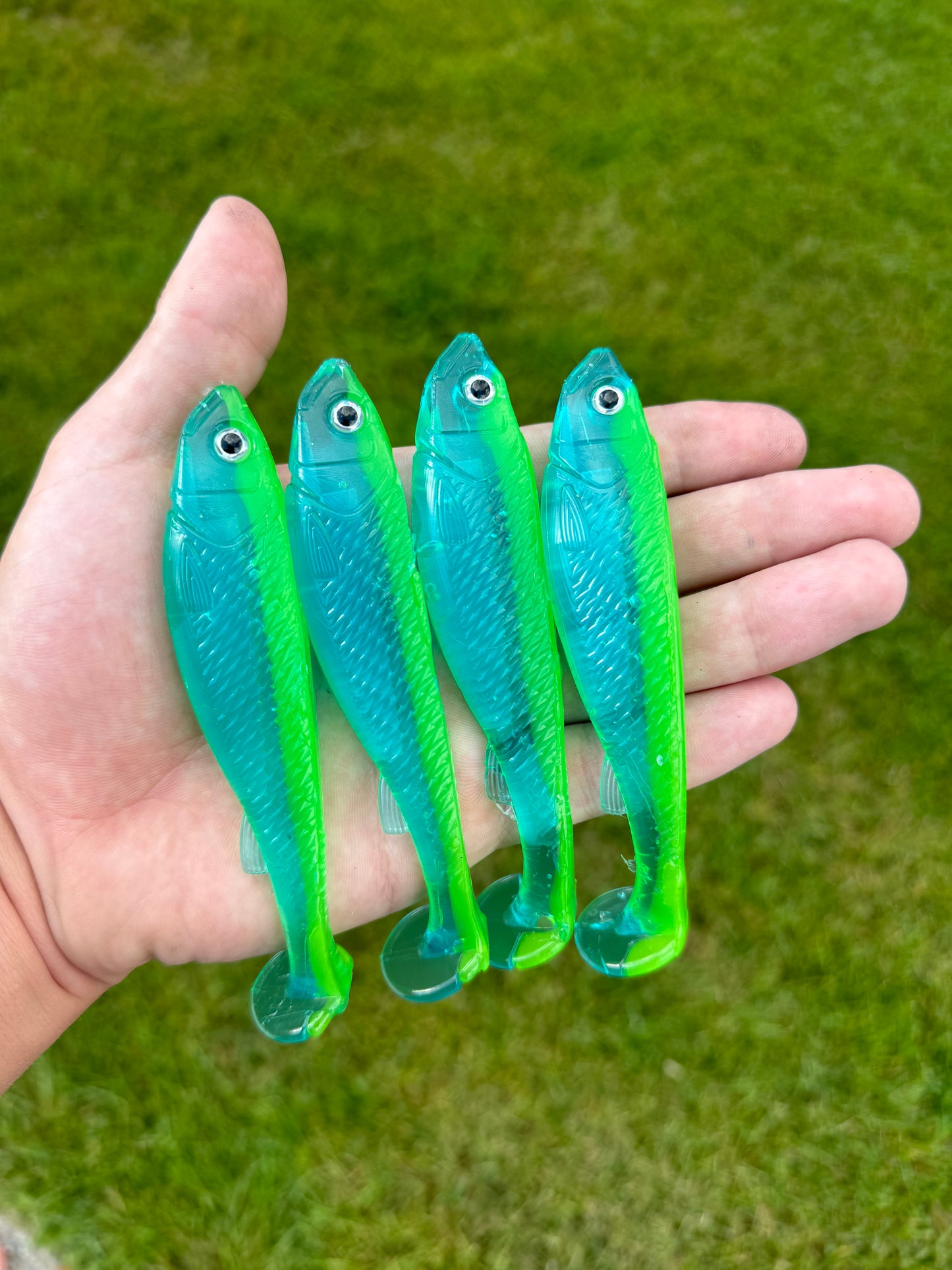 G5 Swimmers (5 pack)